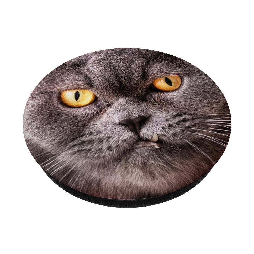 KITTY CAT PopSockets Phone Grip & Stand - Expandable Phone Holder for iPhone, Samsung, Tablets - Perfect for Work, Travel & Selfies