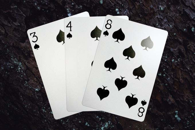 Premium Axolotl-Themed Playing Cards - Unique Collectible Card Deck for Game Nights, Magic Tricks & Gift Giving | Waterproof & Durable by Enigma Cards
