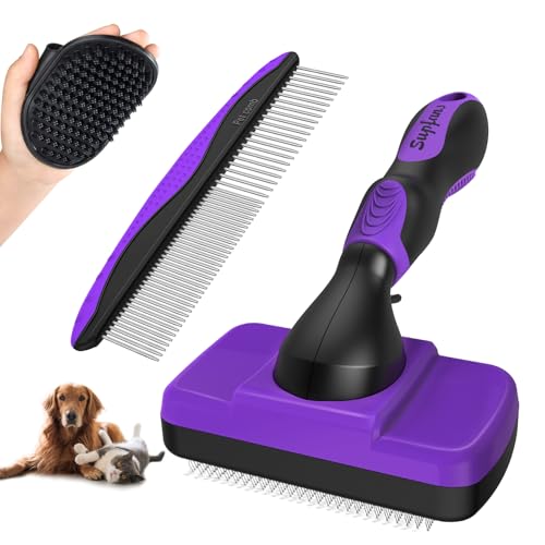 Purple Black