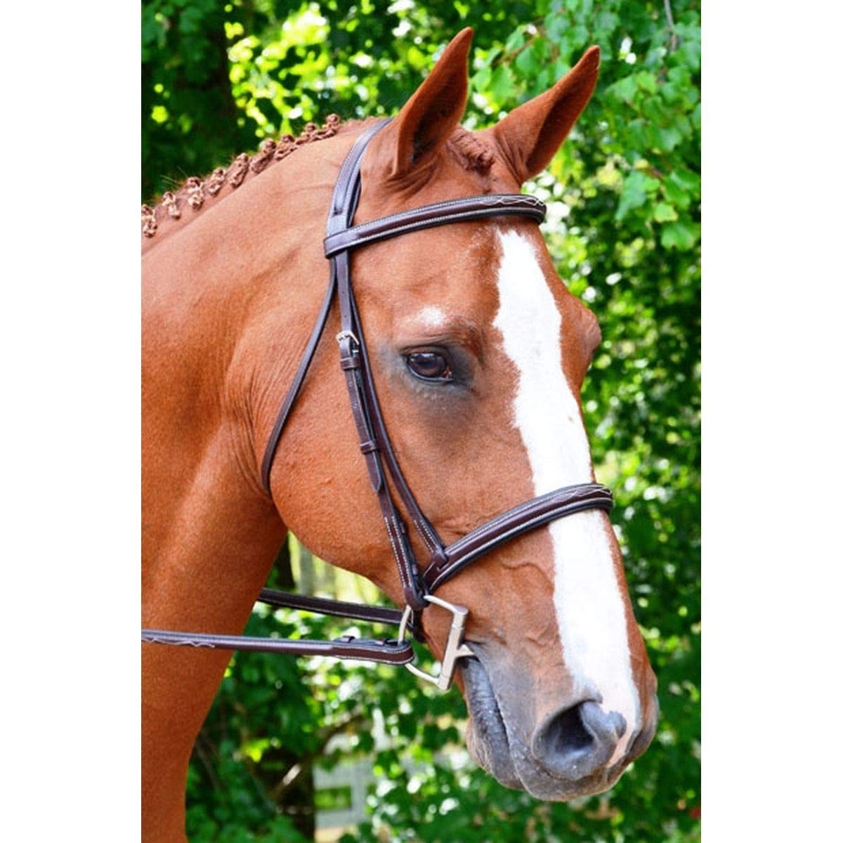 Black Oak Astor Bridle Brown Pony Size - Premium Leather Horse Bridle for Equestrian Riding, Training & Show Jumping | Perfect for Pony Riders & Dressage Competitions
