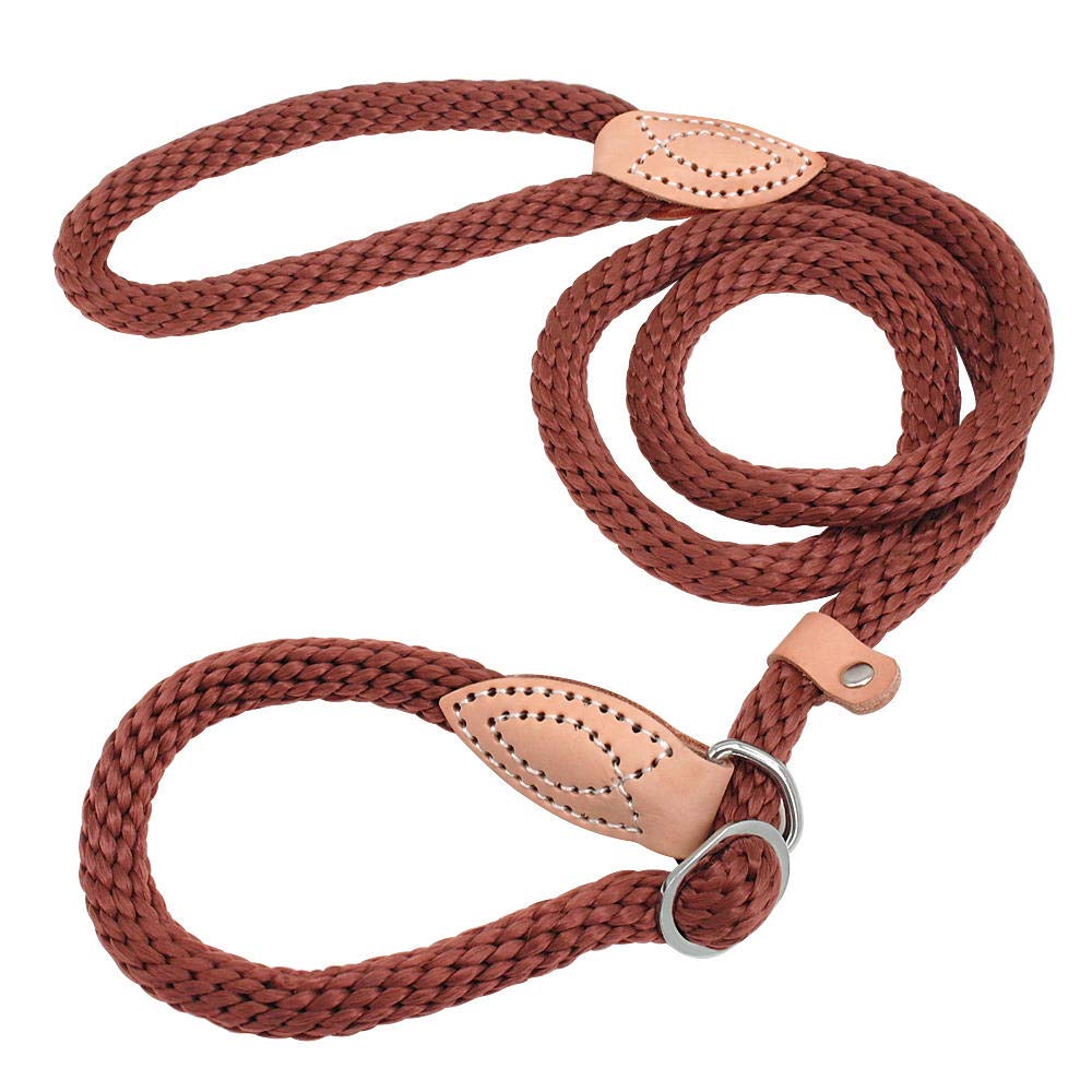Yisatann Adjustable Nylon Dog Leash - Red Pet Walking & Running Leash with Collar, Durable Puppy Training Belt for Small to Medium Dogs - Perfect for Outdoor Adventures, Jogging, and Obedience Training