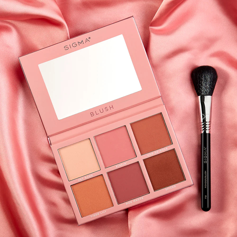 Sigma Beauty F10 Powder & Blush Brush - Professional Makeup Brush for Flawless Face Powder & Blush Application | Perfect for Everyday Makeup & Professional Makeup Artists