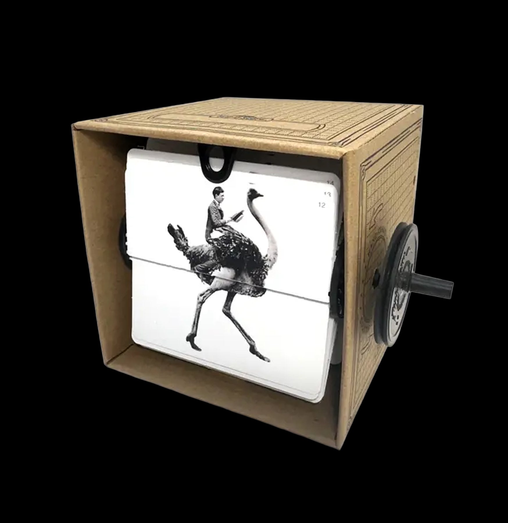 Ostrich DIY Flipbook Animation Kit - Create Handmade Cartoons & Stop Motion Videos - Perfect for Kids, Artists & Creative Projects