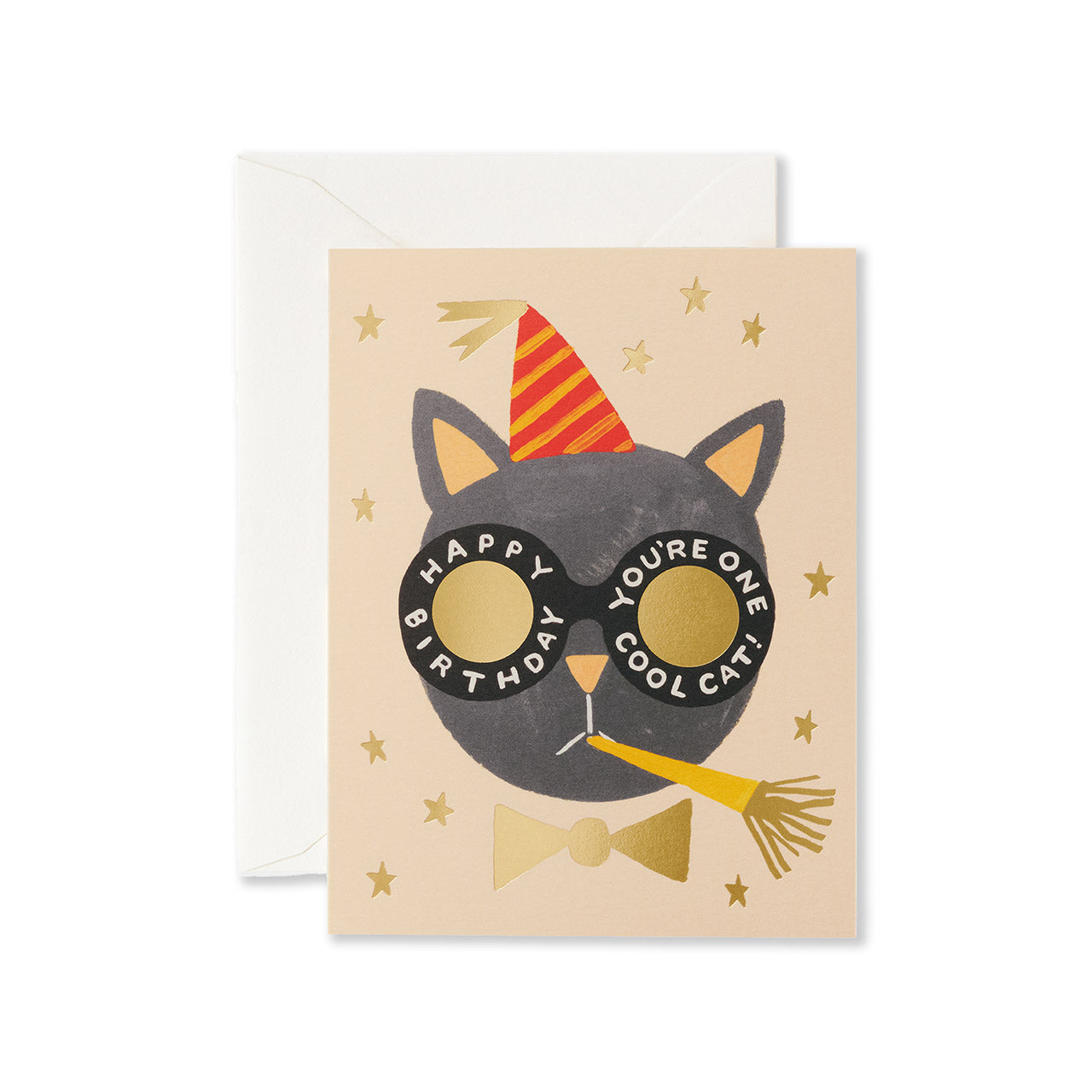 Birthday Cat Greeting Card - Funny Feline Birthday Card for Cat Lovers - Perfect for Birthdays, Anniversaries & Special Occasions