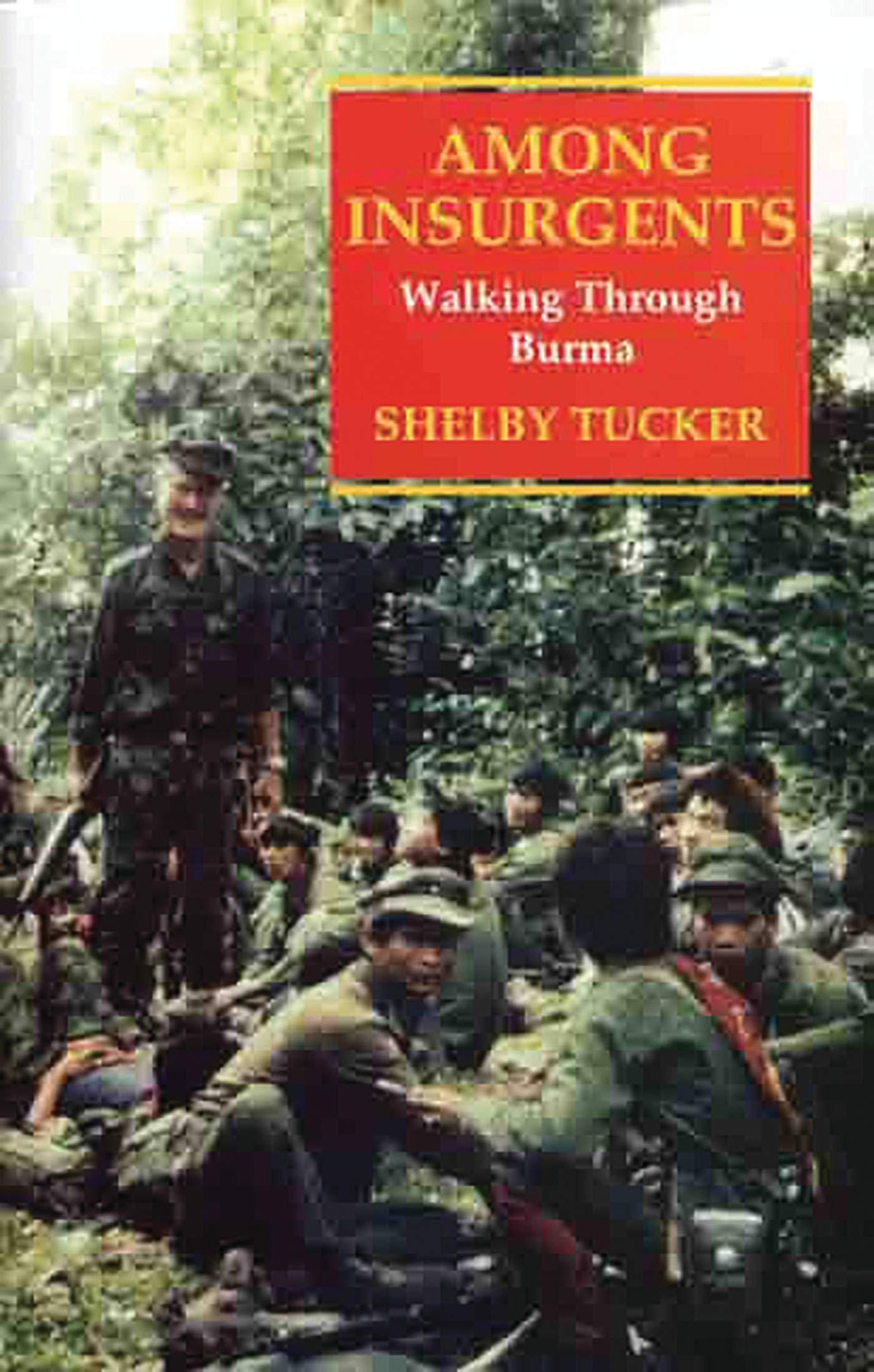 Among Insurgents: Walking Through Burma - Travel Memoir & Adventure Guide | Explore Myanmar's Hidden Conflicts & Cultural Landscapes