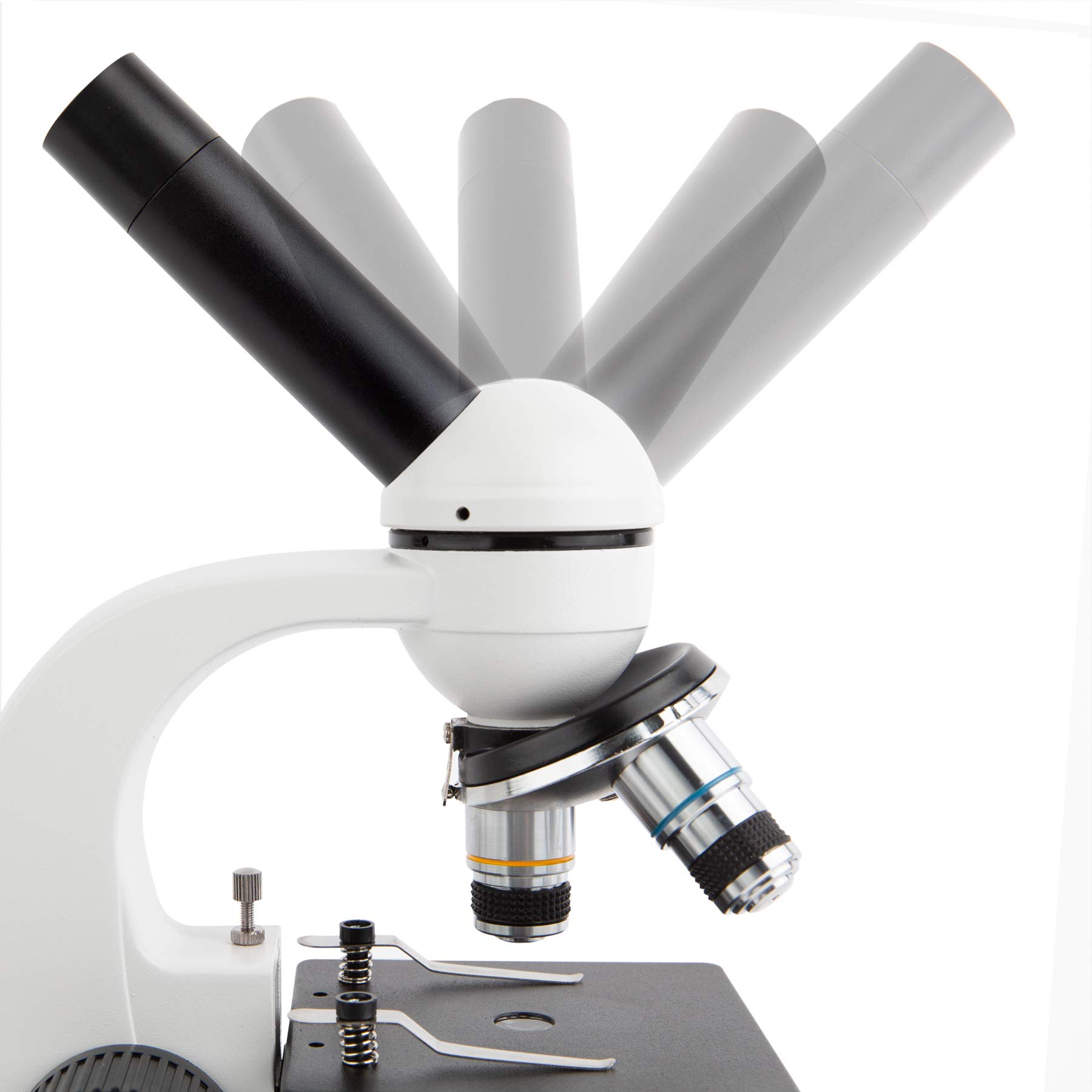 AmScope M158C-SP14-WM-E 40X-1000X Student Microscope with USB Camera - Professional Biological Science Microscope Kit with Metal Frame, Glass Optics, Slide Preparation Tools & Instruction Book - Perfect for Home Schooling, Classroom Labs & STEM Education