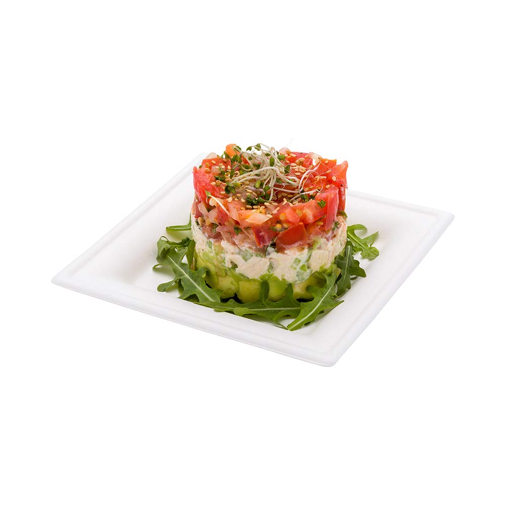 Eco-Friendly 6.3 Inch Square Bagasse Plates - 100 Pack Heavy-Duty White Disposable Plates Made from Sugarcane Fibers | Perfect for Appetizers, Desserts, Parties & Catering Events