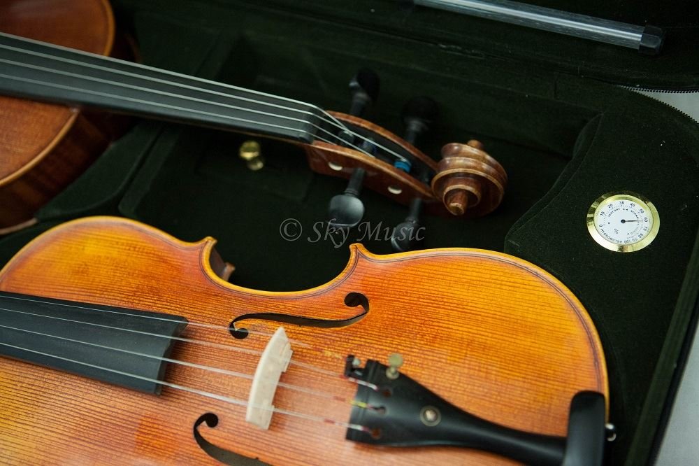 SKY Heavy Duty 4/4 Full Size Professional Double Violin Case - Black/Green | Durable Wooden Violin Storage for Performers & Travel | Perfect for Orchestra, Music School & Professional Violinists