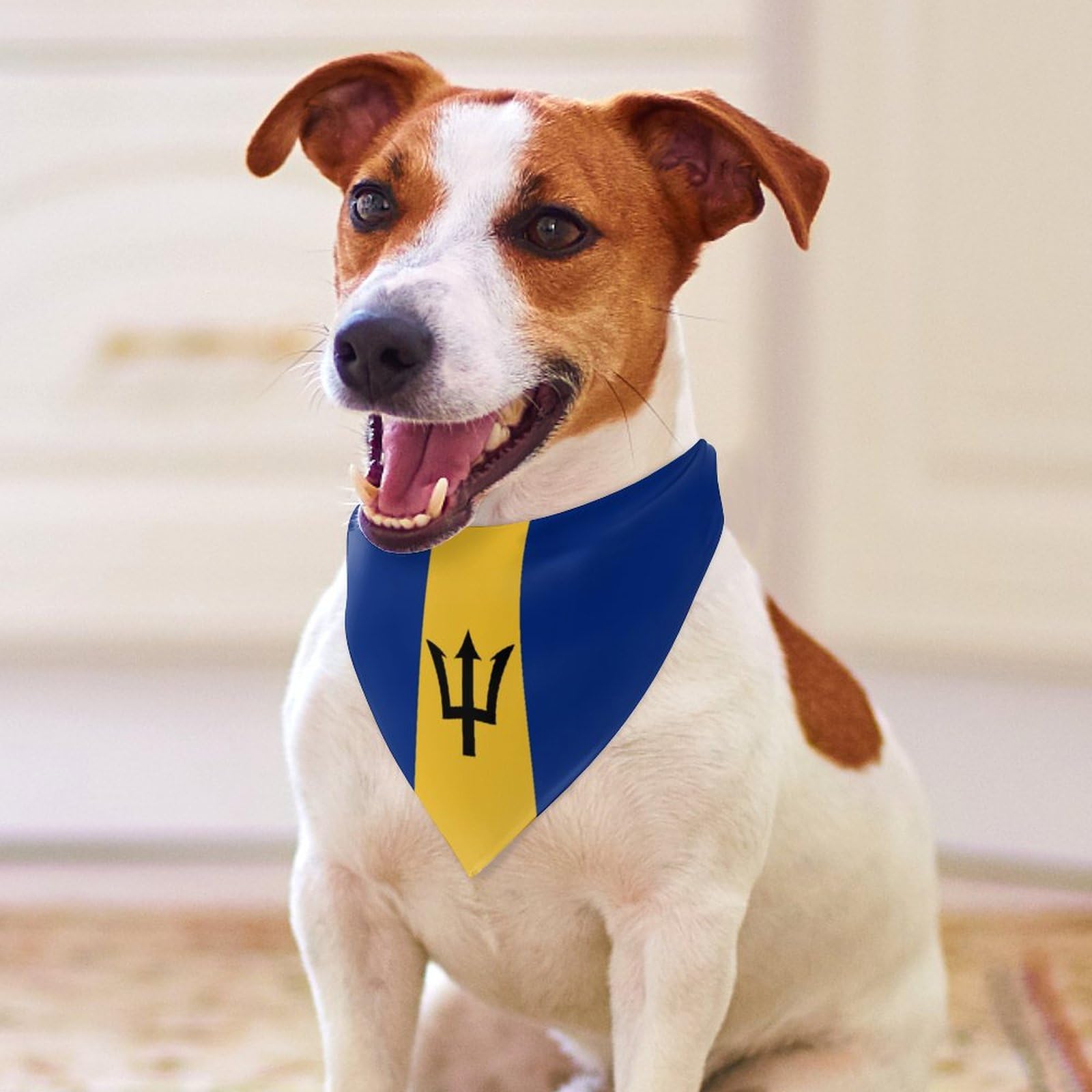 Barbados Flag Dog Bandana - Cute Pet Scarf & Bib for Small Medium Large Dogs - Christmas Thanksgiving Holiday Gift for Pets - Perfect for Patriotic Events & Pet Parties