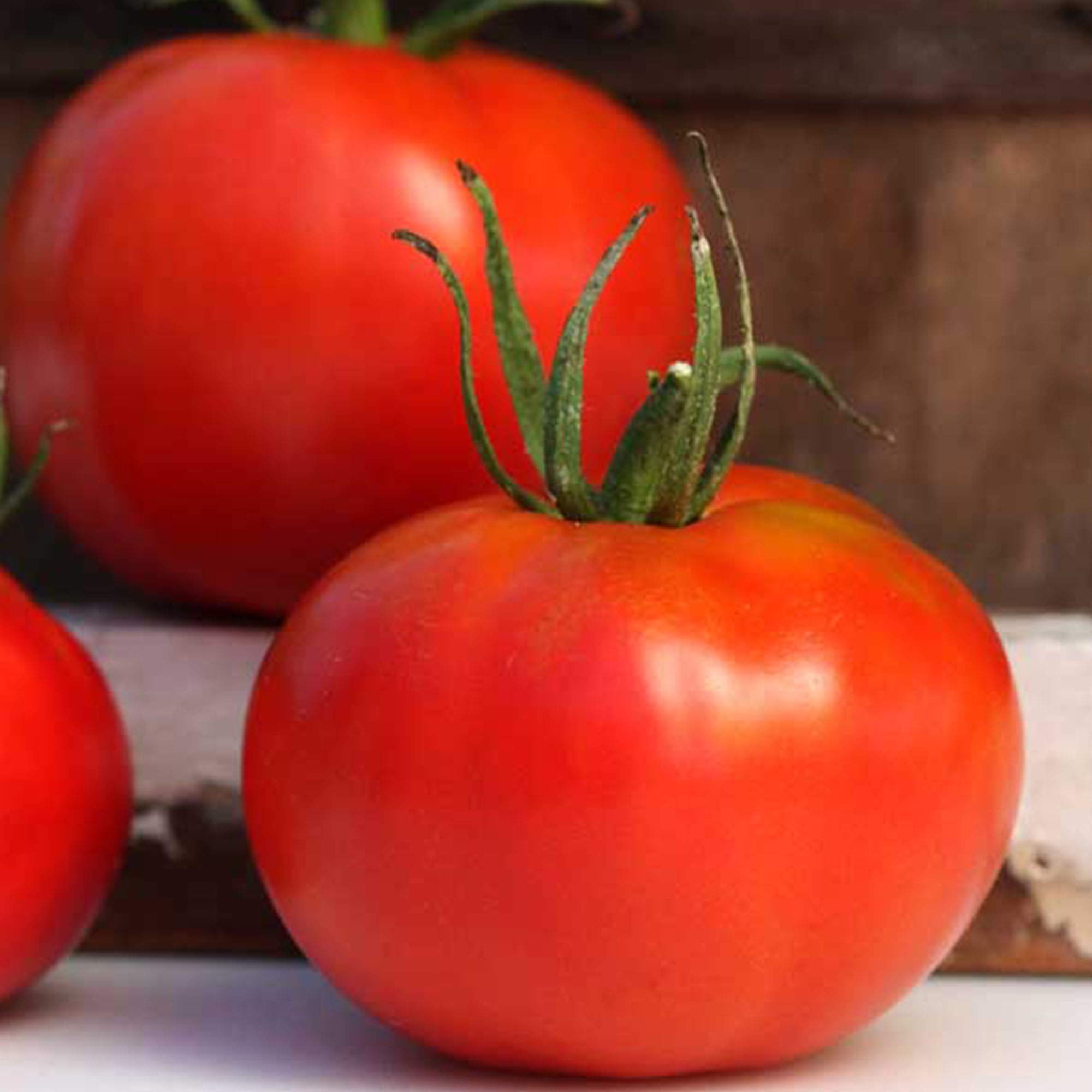 Marglobe Tomato Seeds - 1/4 LB (~30,000 Seeds) - Heirloom, Open Pollinated, Non-GMO Vegetable Seeds for Home Gardening, Farming & Canning - Perfect for Fresh Salads, Sauces & Preserves