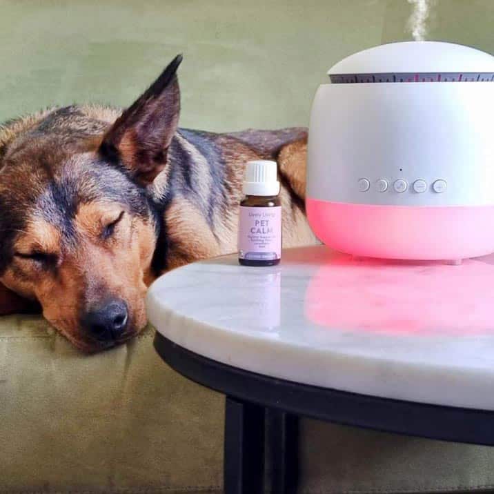 Anxiety Relief Bundle for Dogs & Cats - Calming Chews, Soothing Spray & Comfort Blanket - Perfect for Thunderstorms, Travel & Separation Anxiety