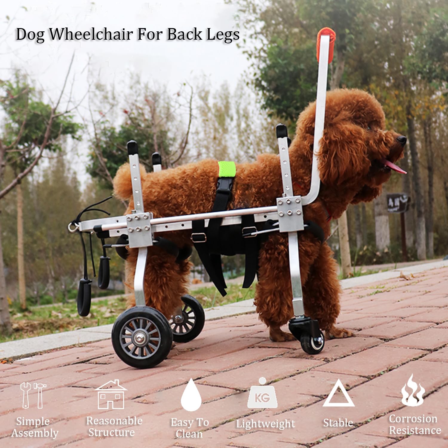 Adjustable 4-Wheel Dog Wheelchair for Small & Medium Pets - Lightweight Mobility Aid for Front Leg Arthritis & Weak Limbs (XXS) - Ideal for Indoor/Outdoor Use, Recovery & Daily Support