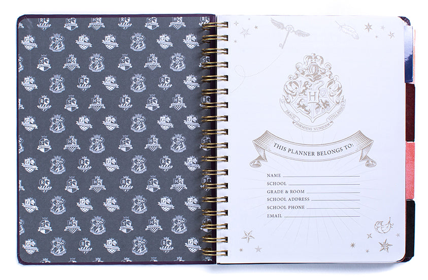 Harry Potter: Hogwarts Teacher's 12-Month Undated Planner - Perfect for Classroom Organization, Lesson Planning & Wizarding World Fans