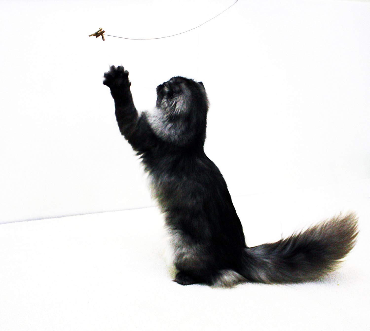 Cat Dancer 101 Interactive Cat Toy 3-Pack for Play & Exercise