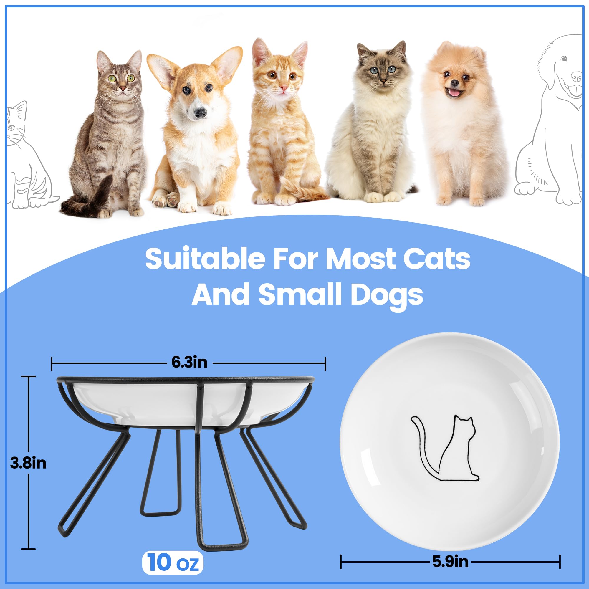 Elevated Ceramic Cat Bowls - Whisker Friendly & Anti-Vomit for Indoor Cats - Dining Set (2-Pack)