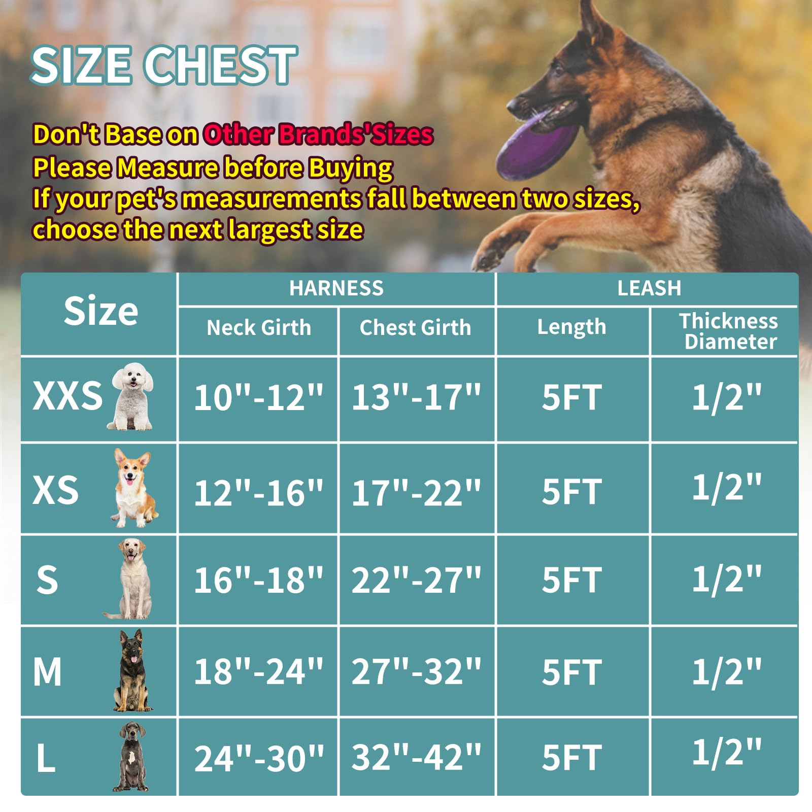 Durable No-Pull Dog Harness & Leash Set with Safety Memory Buckle - Adjustable Breathable Reflective Vest for Extra Small Dogs (XXS, Blue) - Perfect for Outdoor Walks, Hiking & Nighttime Safety