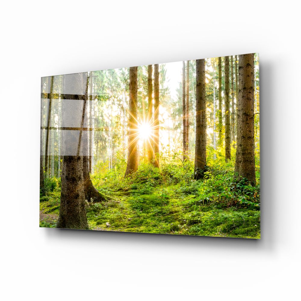 Stunning Forest Glass Print Wall Art - Nature Inspired Decor for Living Room, Bedroom & Office - Perfect for Home & Office Decor