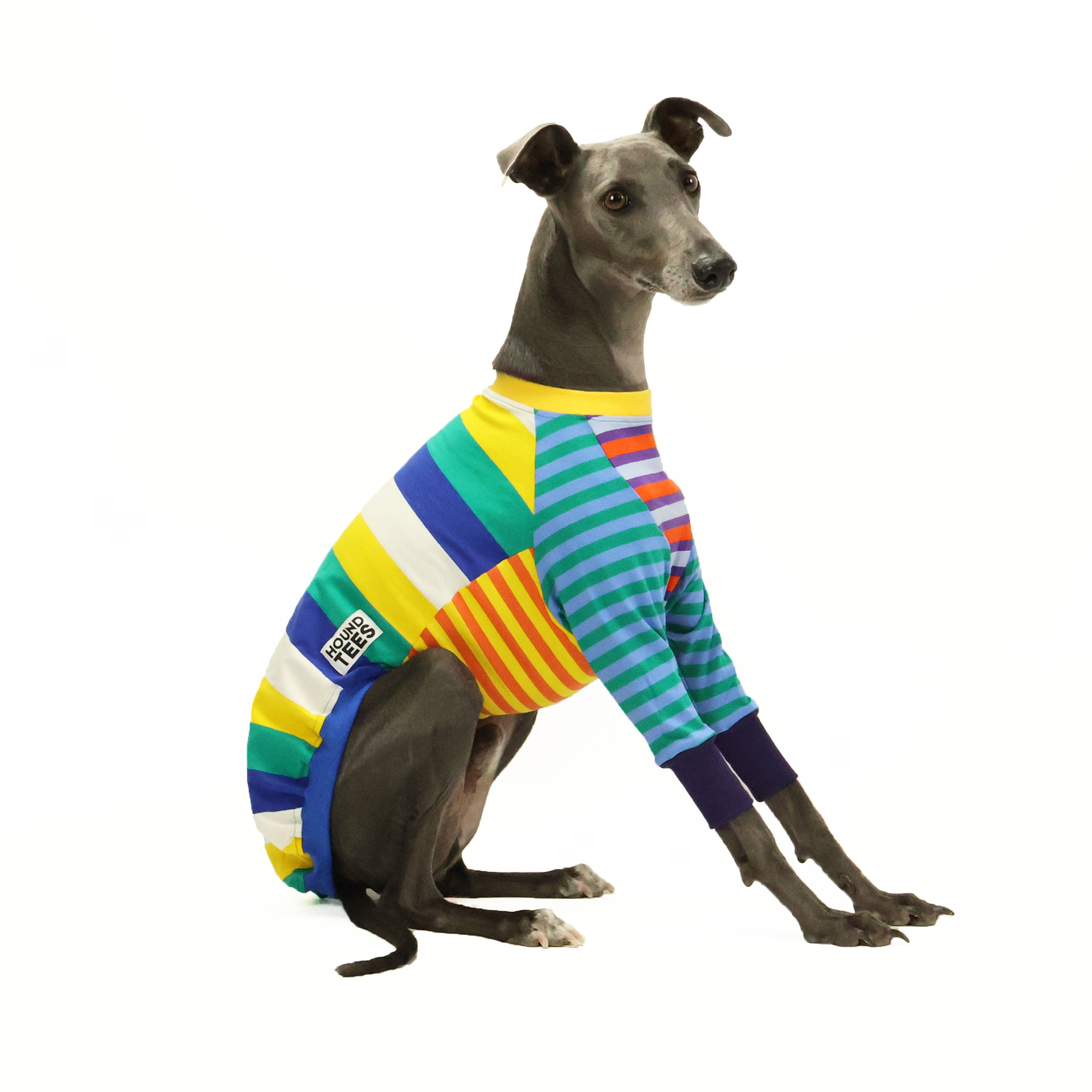 Frankie Whippet Long Sleeve Hound T-Shirt - Cute Dog Lover Apparel for Women & Men - Perfect for Casual Wear, Dog Walks & Pet Lover Gifts