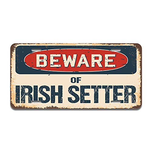 Beware of Irish Setter
