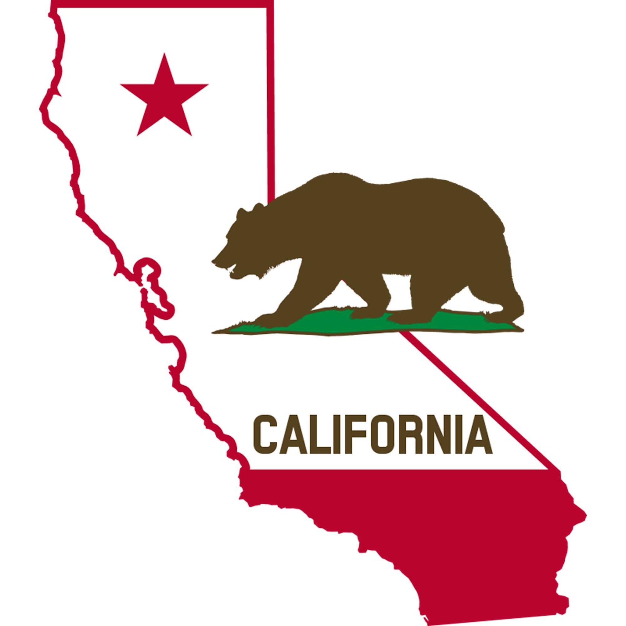 California State Bear Sticker - Square Bumper Decal for Cars, Laptops & Water Bottles | Perfect for California Pride, Car Decor & Gifts