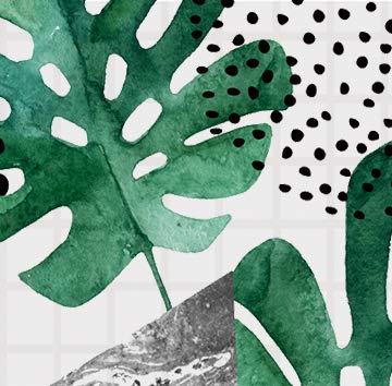 Monstera