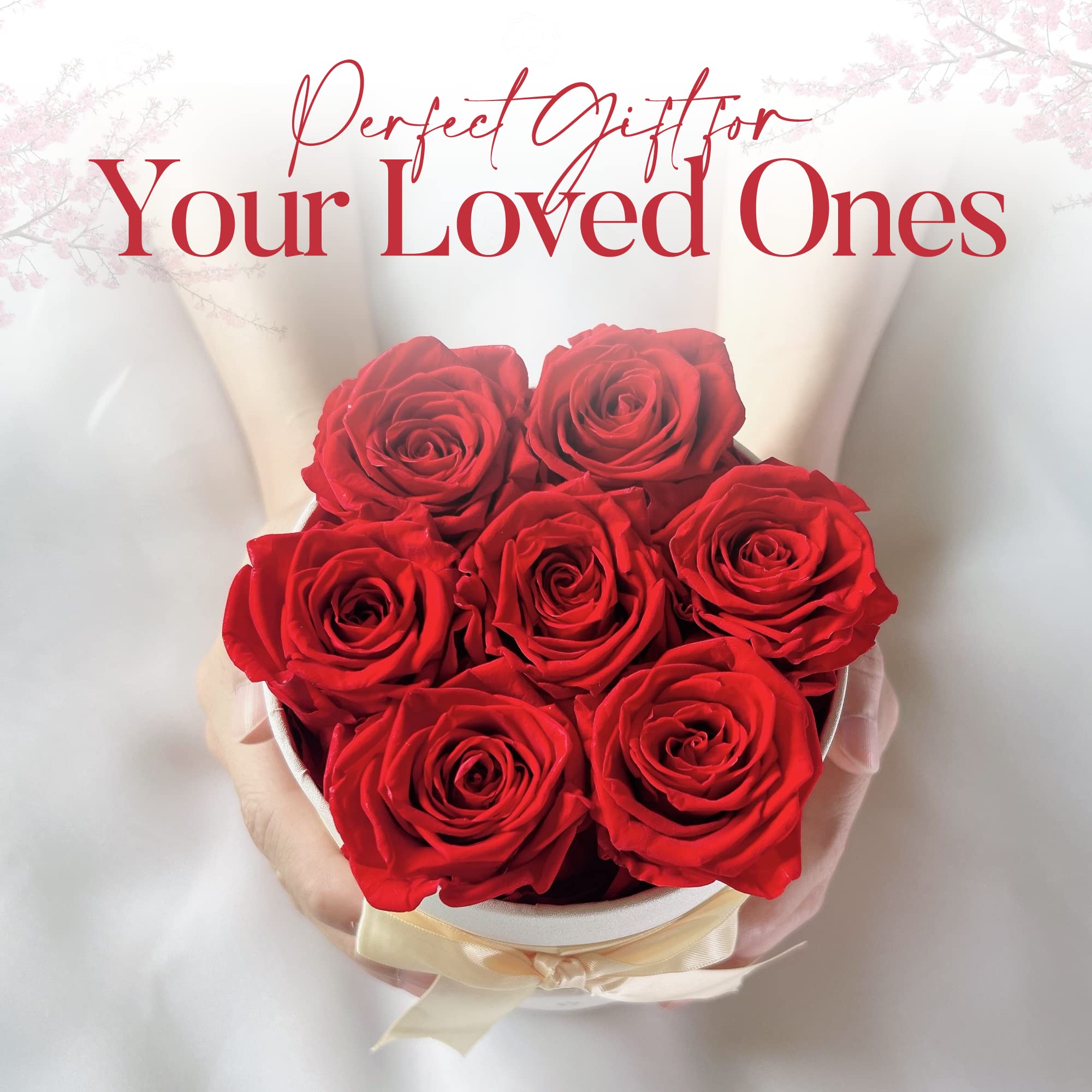 Premium AROMEO 7 Red Roses Bouquet - Fresh Cut Flowers for Valentine's Day, Anniversary, Birthday & Christmas Gifts | Same Day or Next Day Delivery | Perfect for Her, Wife, Girlfriend, Mom & Special Occasions | Elegant Home Decor & Romantic Gift Idea