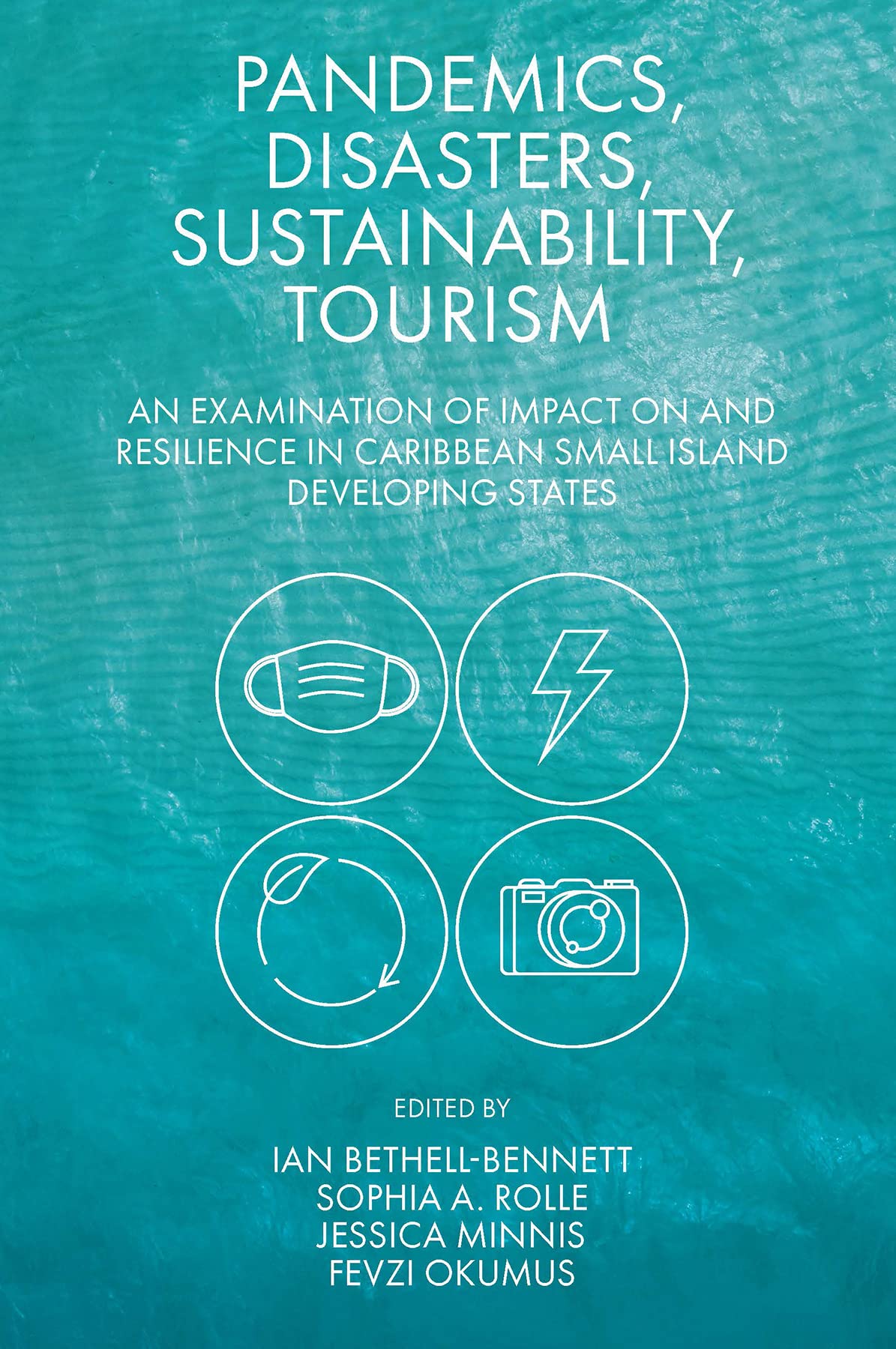 Pandemics, Disasters & Sustainability in Caribbean Tourism: Resilience Strategies for Small Island Developing States | Travel Planning & Crisis Management Guide