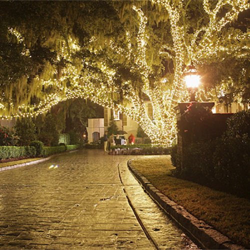200-Count Solar LED String Lights - 72ft Warm White for Outdoor Patio, Garden, and Wedding Decor