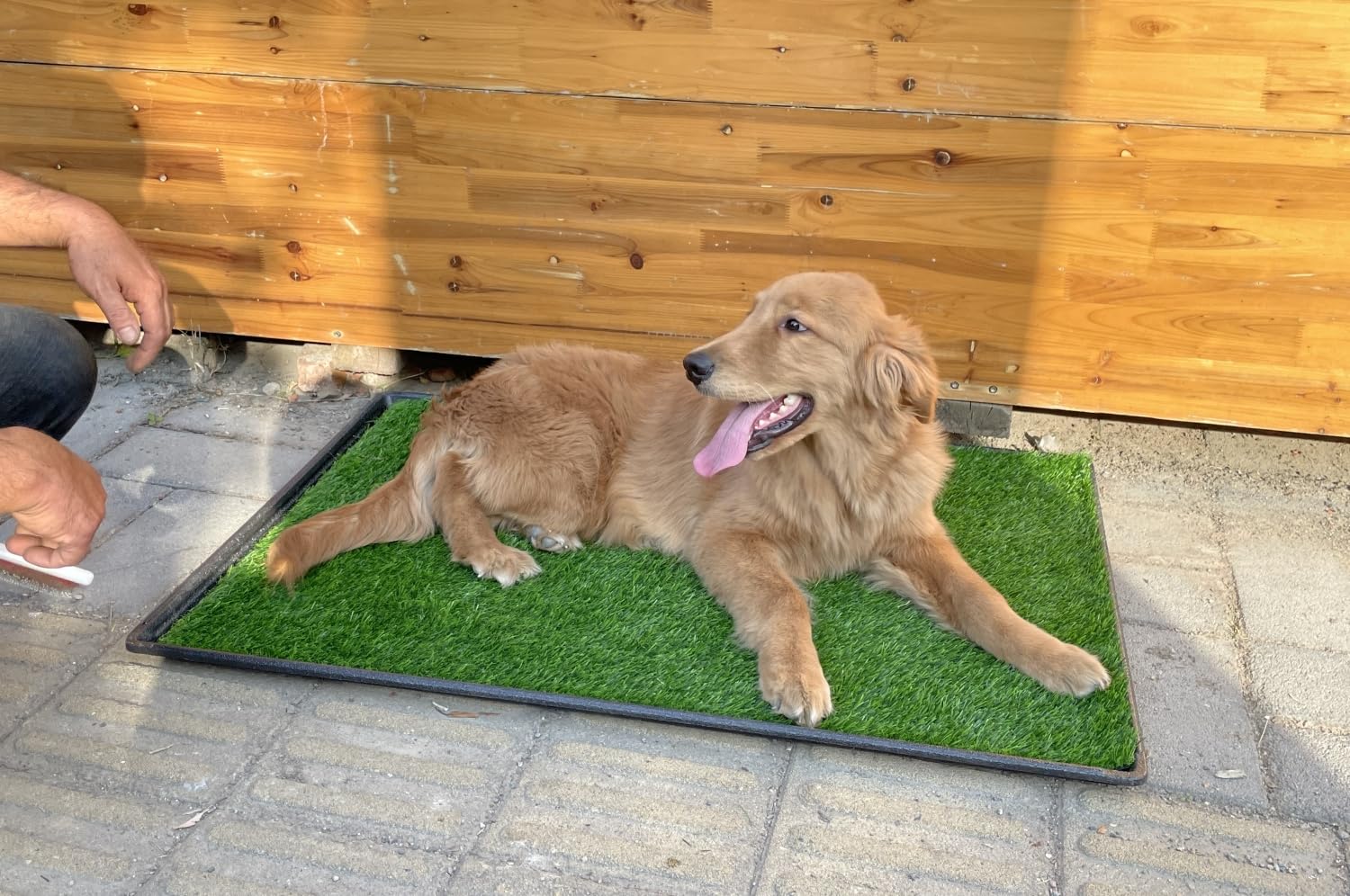 Premium Large Dog Grass Pad with Tray - 3-Pack Realistic Fake Grass (41.4