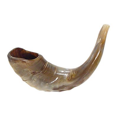 Authentic Kosher Shofar Ram Horn - 11 Inch Natural Blowing Instrument for Jewish Holidays, Rosh Hashanah & Yom Kippur Ceremonies
