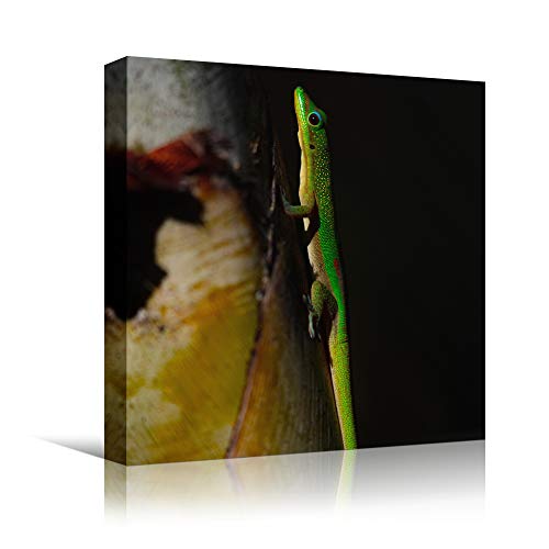 Expressive Panda Bear Tropical Wall Art Print - Colorful Animal Photography for Living Room Decor - 40x60cm Frameless Canvas - Perfect for Home, Office & Nursery Wall Decor