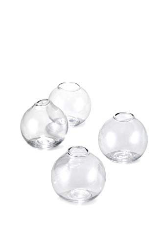Clear, Set of 48