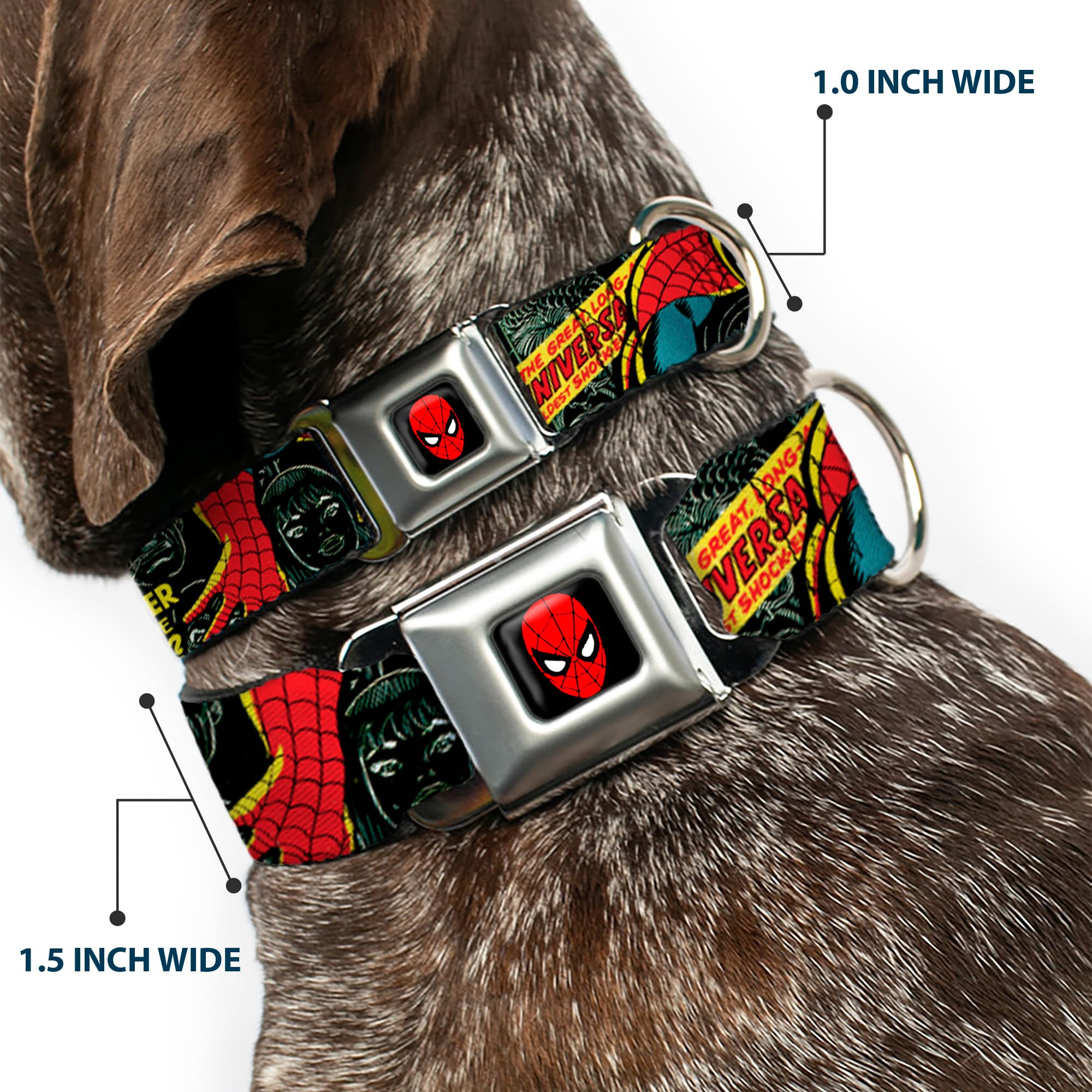 Buckle-Down Spider-Man 100th Anniversary Dog Collar - 1 Inch Wide Adjustable Pet Collar for Small Dogs (9-15