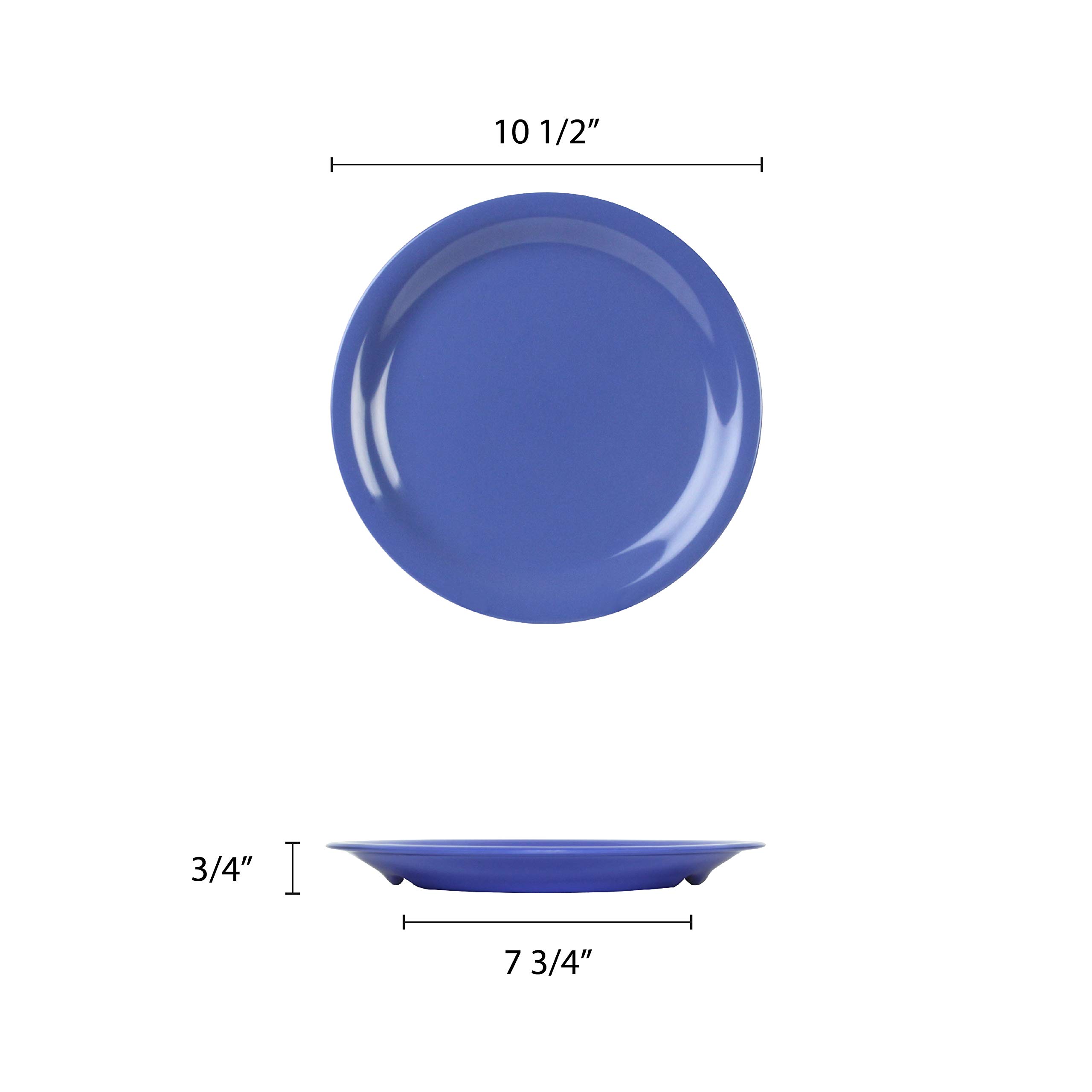 Purple Melamine Dinner Plates Set of 12 - 10.5 Inch Round Narrow Rim Plates - Durable & Lightweight Dishware for Restaurants, Picnics, Outdoor Dining & Everyday Use