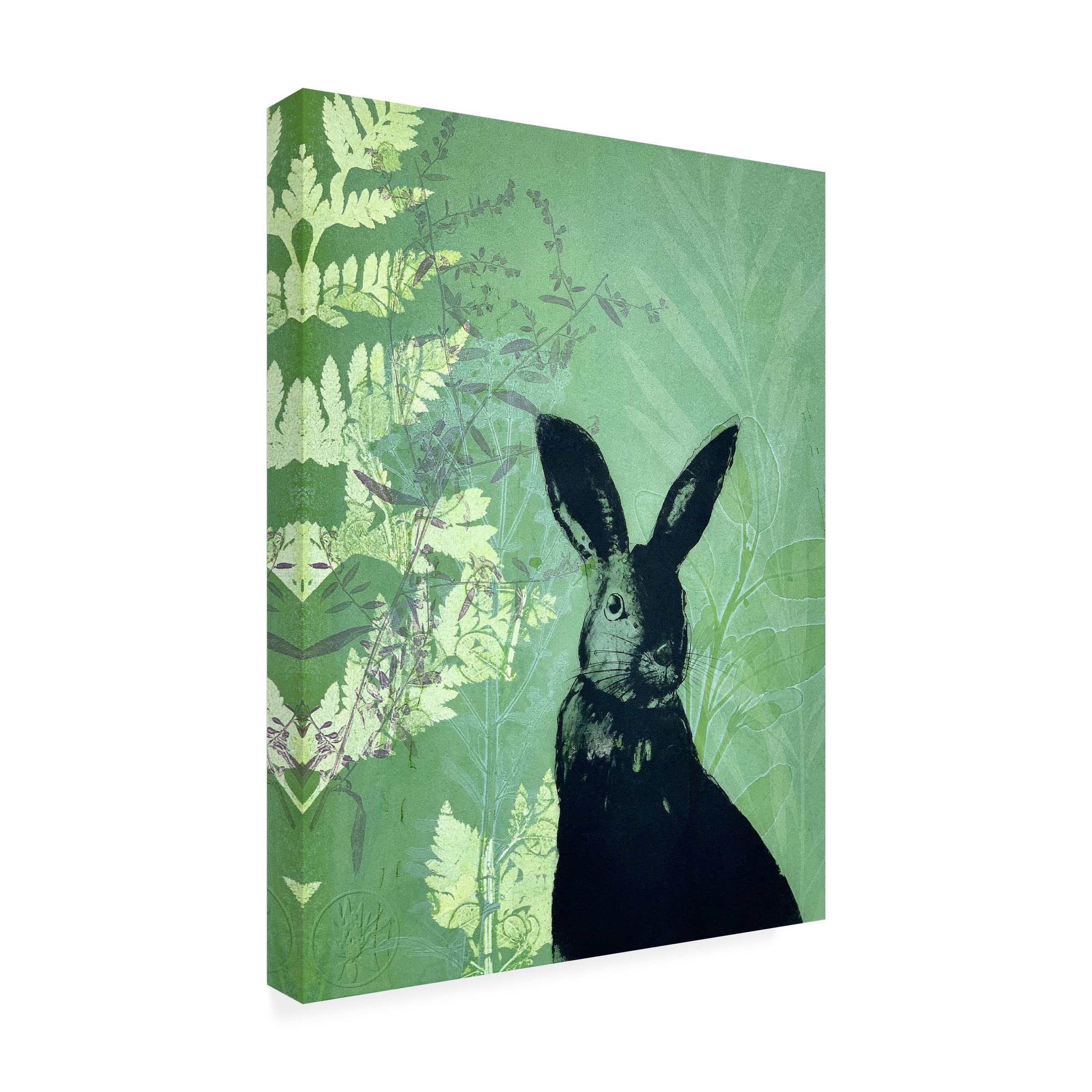 Trademark Fine Art 'Cheeky Rabbit' Canvas Wall Art by Trudy Rice - Perfect for Nursery, Kids Room Decor & Whimsical Home Decor