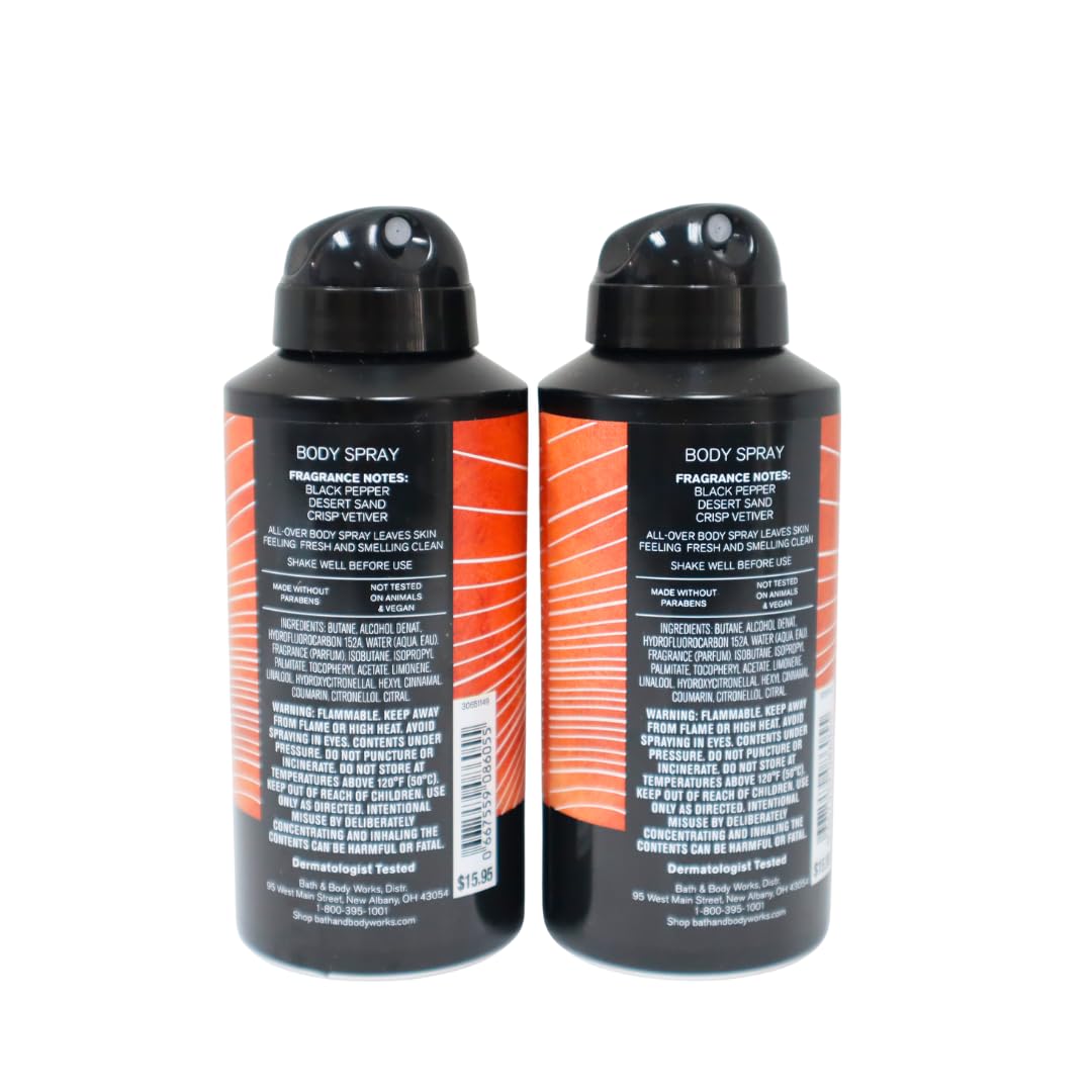 Bath & Body Works Men's Canyon Scent Deodorizing Body Spray Gift Set - 2 Pack | Fresh & Long-Lasting Fragrance for Daily Use, Gym & Travel