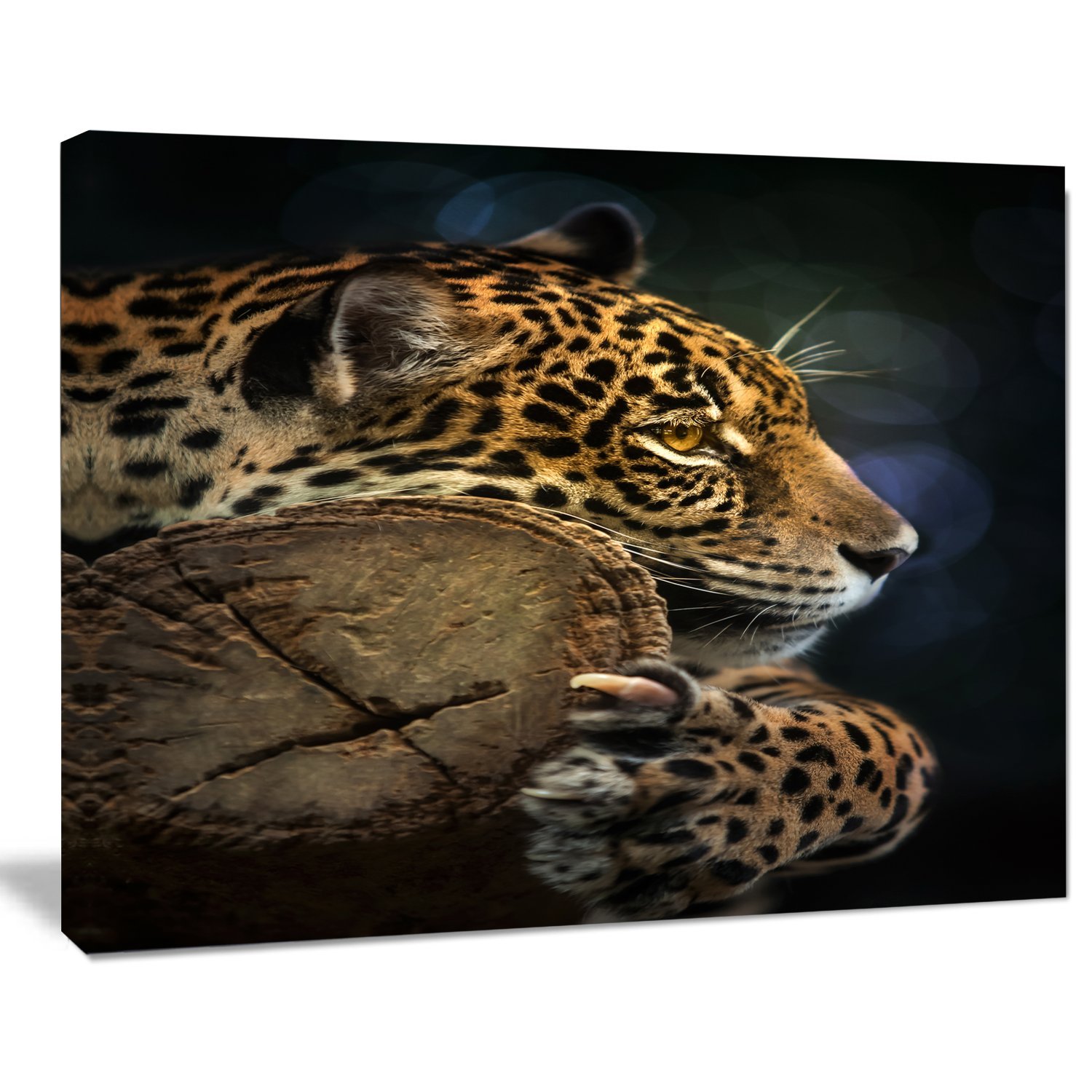 Stunning Jaguar Wildlife Photography Wall Art - Perfect for Home Decor, Office & Living Room