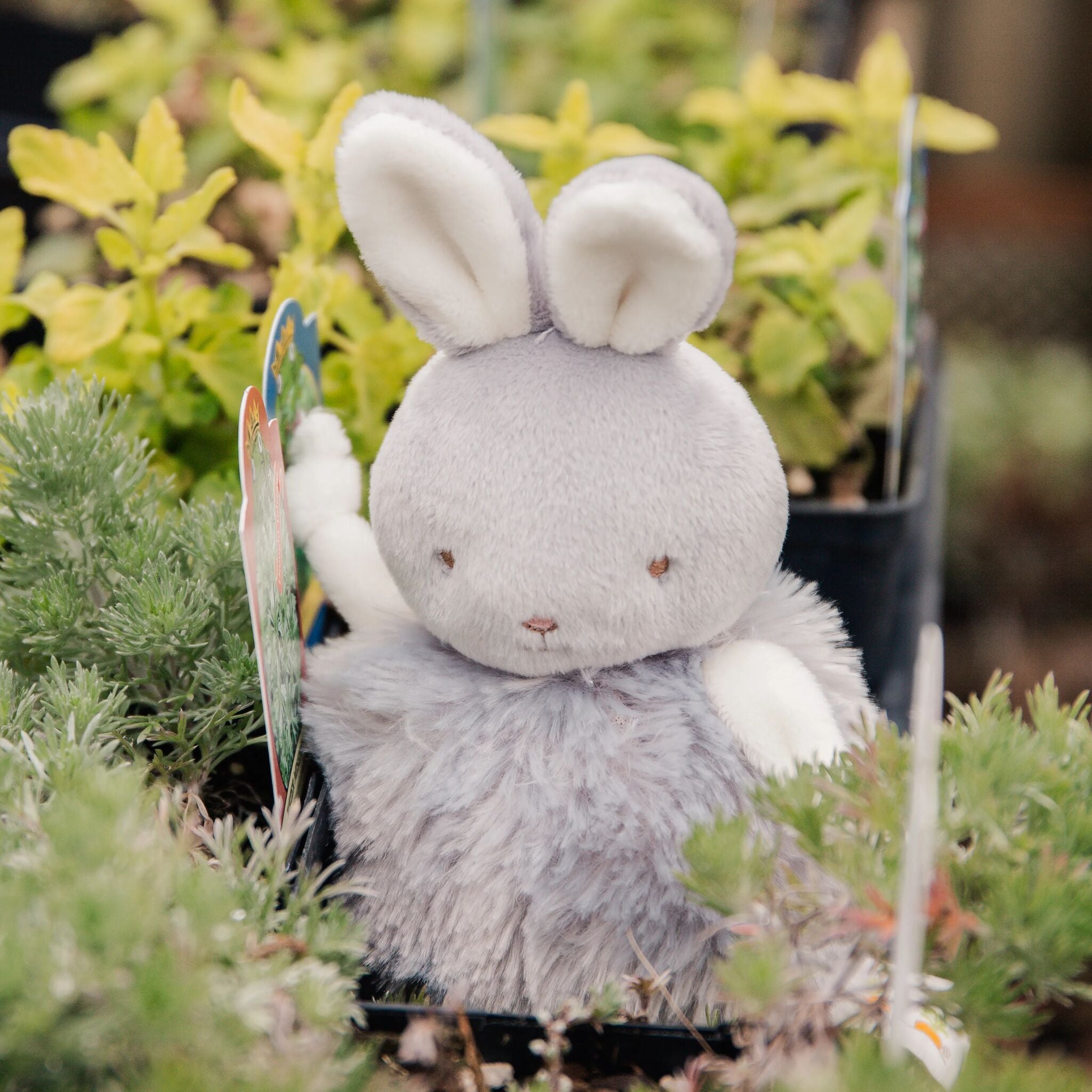 Gray Bunny Roly Poly Bloom - Cute Wobble Toy for Kids & Adults - Perfect for Home Decor, Office Desk & Stress Relief