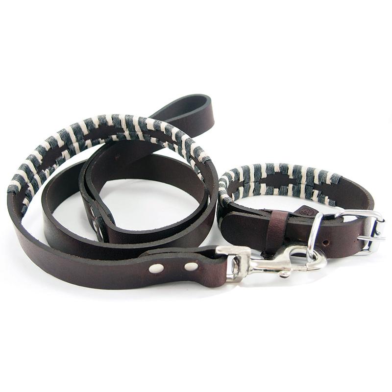 GEORGIE PAWS Hi Ho Silver Dog Collar - Stylish & Durable Pet Accessory for Small & Medium Dogs - Perfect for Walks, Training & Everyday Wear