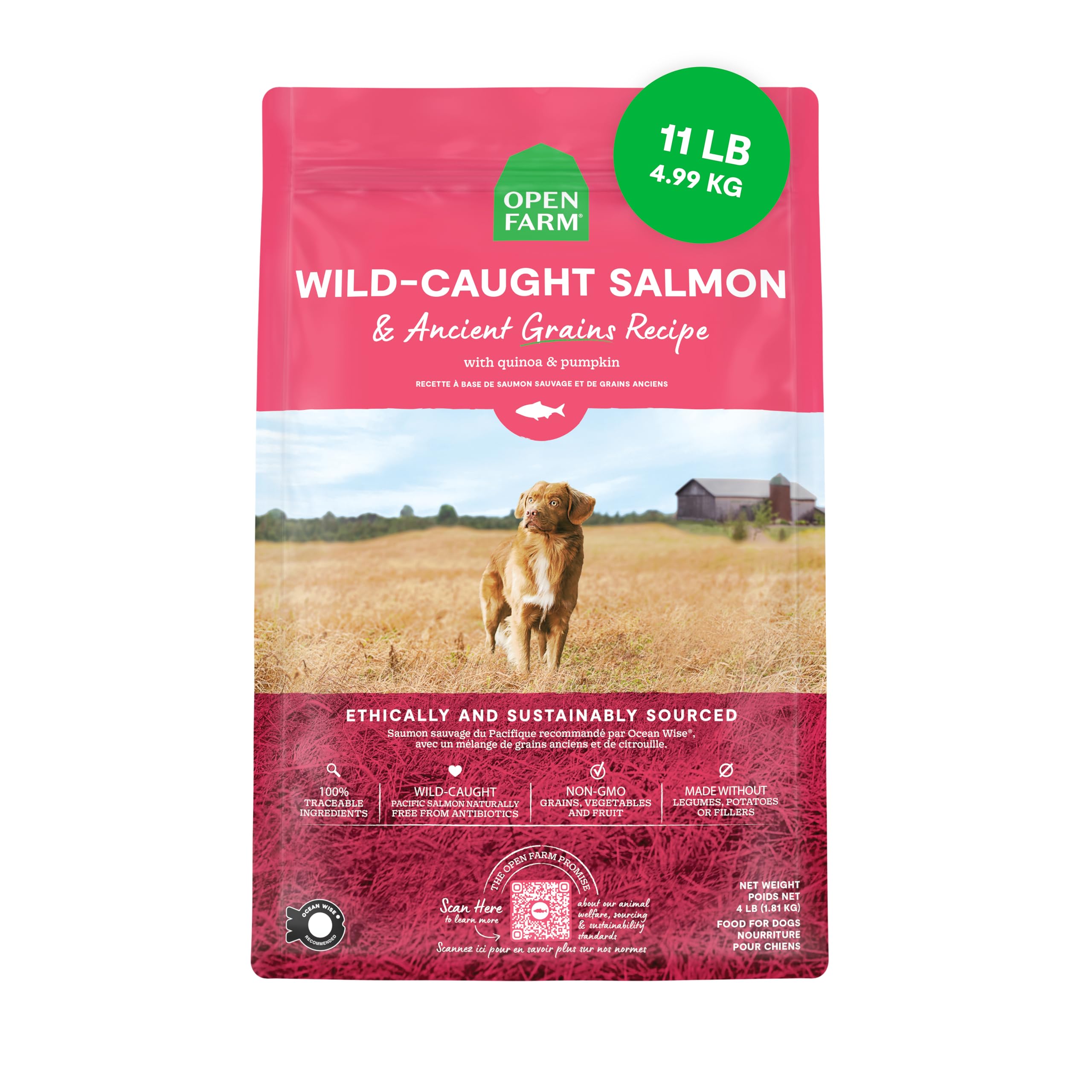 Open Farm Ancient Grains Dry Dog Food - High Protein & Nutrient Dense with 90% Animal Protein, Non-GMO Fruits, Vegetables & Superfoods - Wild Caught Salmon Recipe - 11lb Bag for Adult Dogs - Perfect for Active Pets & Sensitive Stomachs