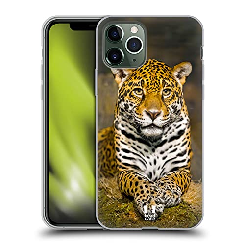 Adult Female Jaguar