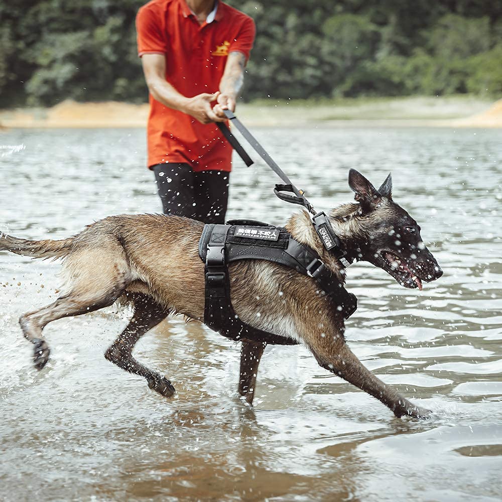 EXCELLENT ELITE SPANKER Tactical Dog Harness Vest with Handle - Adjustable Military Training Harness for Small, Medium & Large Dogs - No Pull Design (Black, Large) - Perfect for Outdoor Adventures, Hiking & Police K9 Training