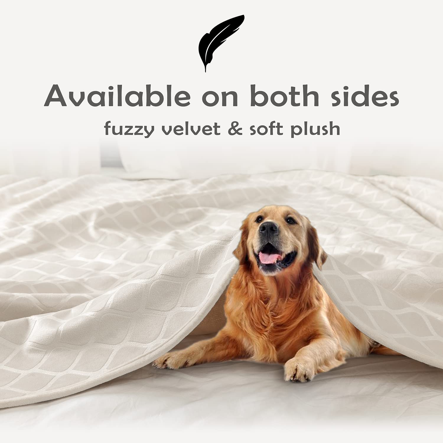 Waterproof Dog Blanket - Super Soft Plush Pet Throw for Couch, Sofa & Bed - Moroccan Style Fuzzy Cozy Blanket (82x102 Inches, Cream Beige) - Perfect for Indoor Use, Travel & Dog Beds