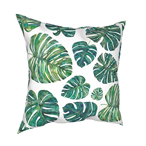 Plant Leaves