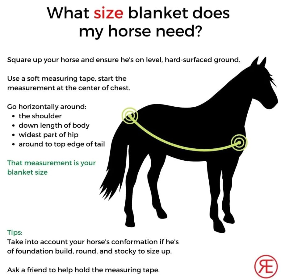 Reinsman Circle Y Classic Turnout Blanket - 300g 600D Waterproof Horse Blanket for All Weather Protection (75