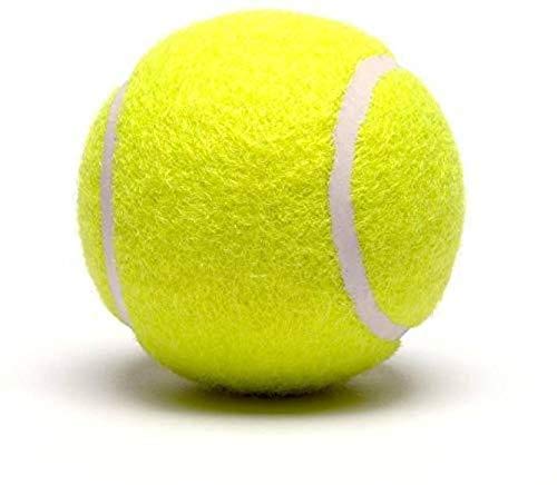 Livo Cricket Tennis Ball Set - Pack of 2 (Red) | High-Quality Practice & Training Balls for Cricket, Tennis & Backyard Sports | Perfect for Outdoor Games, School PE, and Recreational Play