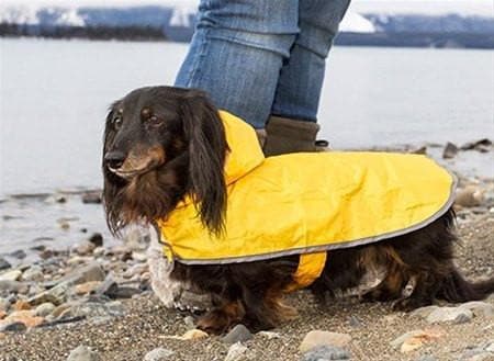 Waterproof Dog Pocket Blanket in Clay Floral Print - New Size for Small to Medium Dogs - Perfect for Travel, Camping & Outdoor Adventures