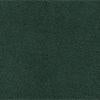 Cozy Conifer Green Library College Sweater for Women & Men - Soft & Warm Pullover for Studying, Reading & Campus Life