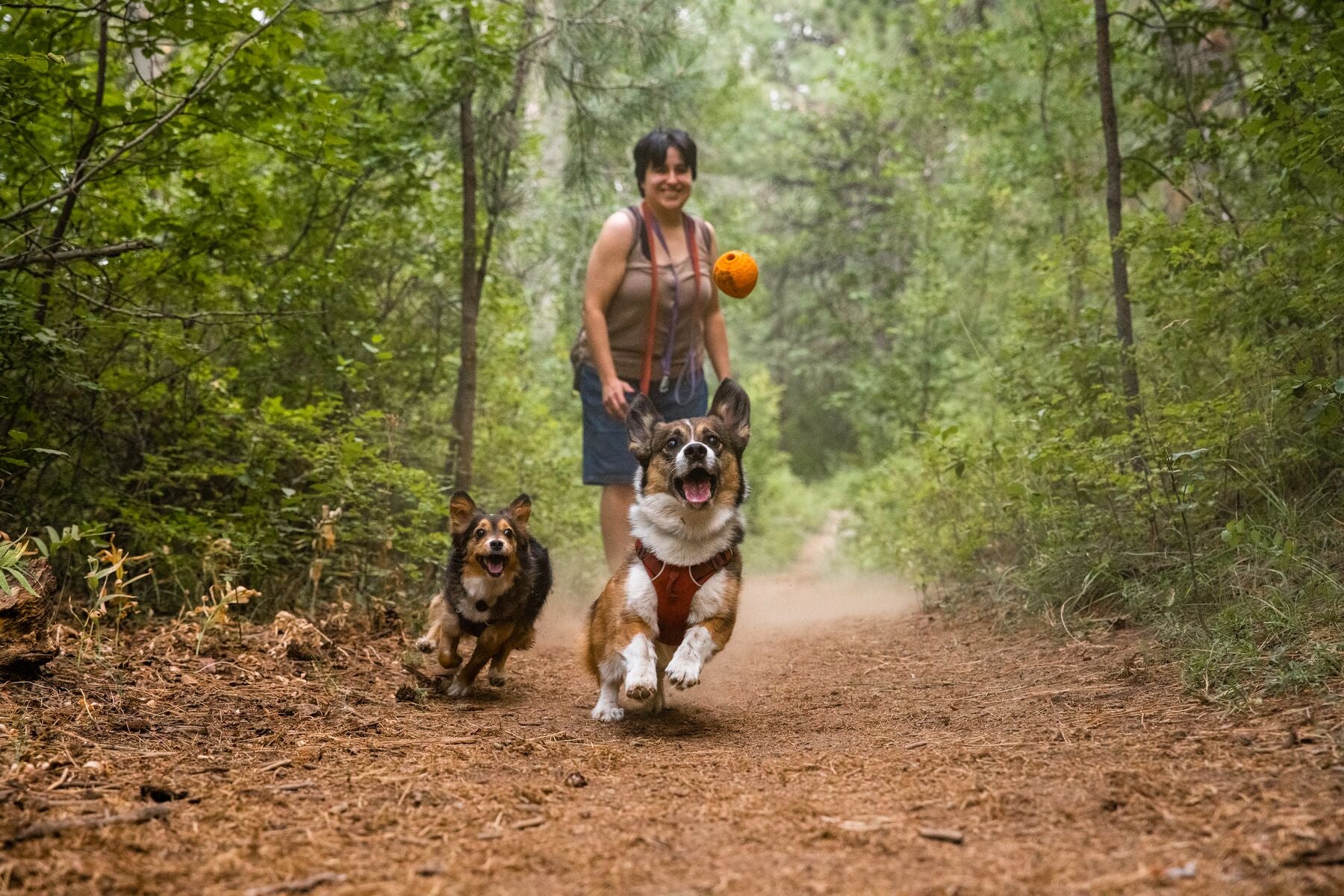 Ruffwear® Turnup® Fetch Ball for Dogs - Campfire Orange Durable Chew Toy for Outdoor Play, Training & Water Fun