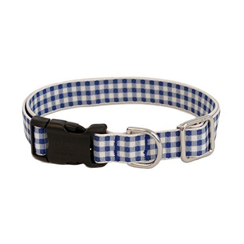 Gingham Blue